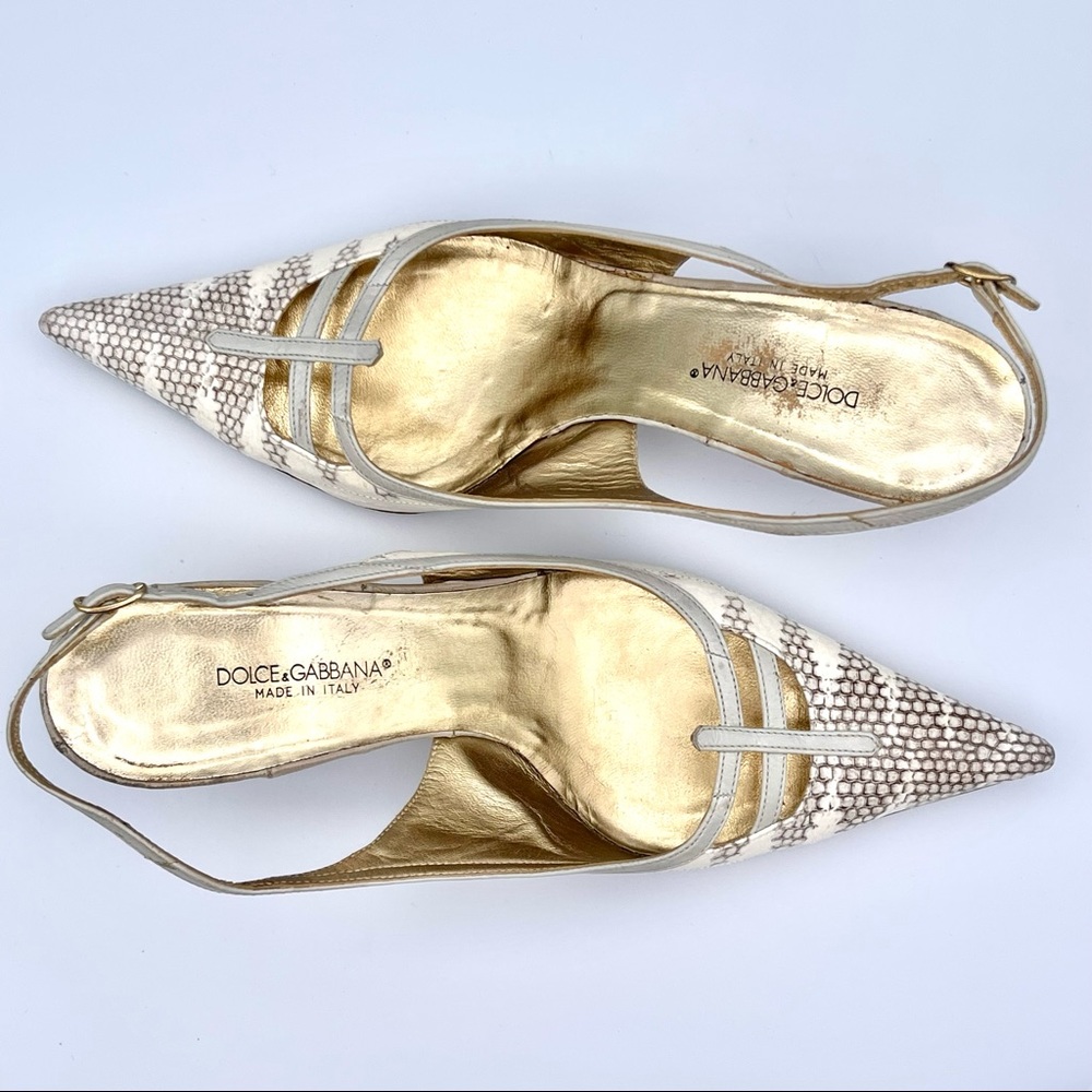 DOLCE & GABBANA | Snake Skin Pointed Toe Slingback Heels | Size: IT 36.5 (US 6)